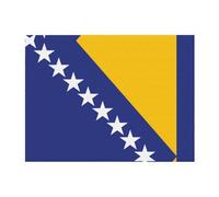 PHAYAH Flag Of Bosnia And Herzegovina Pattern Flannel 80"X60" Soft Fleece Blanket All Seasons Warm Blanket For Bedding Sofa And Trave