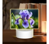 PHAYAH French National Flower Pattern Rectangle Decorative Night Lights with USB Plug in Table Lamp with 3 Light Modes Adjustable for Bedroom Living Room Cafe