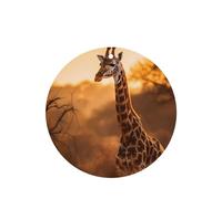 Phayah Giraffe Pattern Lavender Scent Car Aroma Round Shape Hanging Fragrance Tablet Car Interior Fragrance Freshener 6p