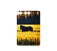 Phayah Golden Fields Pattern Lavender Scent Car Aroma Rectangle Hanging Fragrance Tablet Car Interior Fragrance Freshener 4p