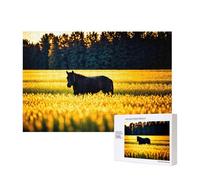 Phayah Golden Fields Puzzles 300 Piece for Jigsaw Puzzle Wooden Puzzle for Family Friend Home Decor Wall Art 15.7 X 11in