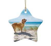 Phayah Golden Retriever Pattern Ceramic Star Shape Christmas Tree Ornaments, Family New Year Home Souvenirs For Gatherings