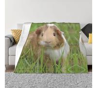 PHAYAH Guinea Pig Pattern Air Conditioning Blanket For Sofa Bed Chair Bedroom Gift Travel Living Room 50"X40"