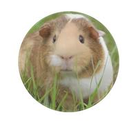 PHAYAH Guinea Pig Round Non-Slip Rubber Mouse Pad- Durable And Comfortable For Office, Gaming, And Learning 8in1 Pc