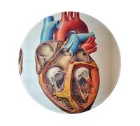 PHAYAH Human Anatomy Heart Chart Round Non-Slip Rubber Mouse Pad- Durable And Comfortable For Office, Gaming, And Learning 8in1 Pc