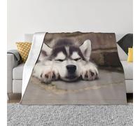 PHAYAH Husky Dog Pattern Air Conditioning Blanket For Sofa Bed Chair Bedroom Gift Travel Living Room 40"X30"