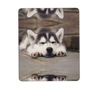 Phayah Husky Dog Pattern Mouse Pad with Anti-Fray Stitching with Non-Slip Rubber Base, Gaming Mouse Mat for Laptop, Office & Home 8.3 X 10.3 in