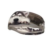 PHAYAH Husky Dog pattern Sports headband suitable for running yoga basketball elastic moisture band