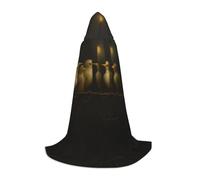 PHAYAH Line Of Birds Pattern Halloween Witch Witchcraft Hooded Robe Cape Christmas Hoodie Cosplay Masquerade Party Dress Gift Costume Medium