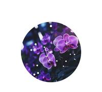 Phayah Lonely Flower Pattern Lavender Scent Car Air Freshener Round Shape Card Hanging Hanging Scented Card 6 Pcs For Cars Closet Drawer