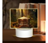 PHAYAH Music Box in The Forest Pattern Rectangle Decorative Night Lights with USB Plug in Table Lamp with 3 Light Modes Adjustable for Bedroom Living Room Cafe