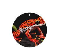 Phayah Orange Tree Frog Pattern Lavender Scent Car Air Freshener Round Shape Card Hanging Hanging Scented Card 6 Pcs For Cars Closet Shoe