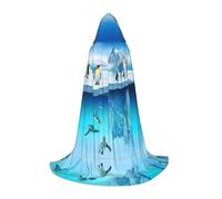 PHAYAH Penguins On The Iceberg Pattern Halloween Adult Hooded Robe Cape, Women'S Men'S Halloween Dress Up Party Cosplay Costumes M