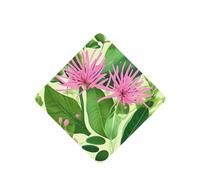 Phayah Pink Plant Flowers Pattern Lavender Scent Car Aroma Square Hanging Fragrance Tablet Car Interior Fragrance Freshener 4p