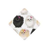 Phayah Pomeranians Pattern Pattern Lavender Scent Car Air Freshener Square Card Hanging Hanging Scented Card 6 Pcs For Cars Closet Shoe