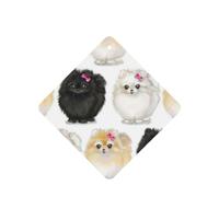 Phayah Pomeranians Pattern Pattern Lavender Scent Car Air Freshener Square Card Hanging Hanging Scented Card 4 Pcs For Cars Closet Shoe