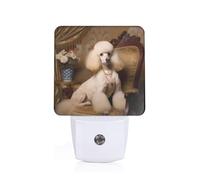 PHAYAH Poodle Pattern Night Light Plug-in Led Auto Sensor Night Lamp Dusk-to-Dawn Lamp for Nursery Children Stairs Corridors