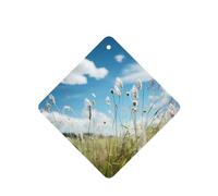 Phayah Prairie Flower Pattern Lavender Scent Car Aroma Square Hanging Fragrance Tablet Car Interior Fragrance Freshener 6p