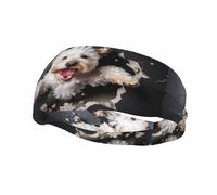 Phayah Puppy Breaks Down Wall Pattern Sports Headband Suitable for Running Yoga Basketball Elastic Moisture Band
