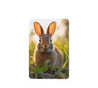 Phayah Rabbit In The Grass Pattern Lavender Scent Car Aroma Rectangle Hanging Fragrance Tablet Car Interior Fragrance Freshener 6p