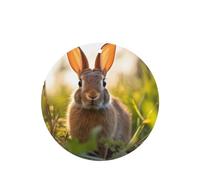 Phayah Rabbit In The Grass Pattern Lavender Scent Car Aroma Round Shape Hanging Fragrance Tablet Car Interior Fragrance Freshener 4p