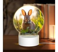 PHAYAH Rabbit in The Grass Pattern Round Decorative Night Lights with USB Plug in Table Lamp with 3 Light Modes Adjustable for Bedroom Living Room Cafe