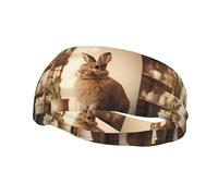 Phayah Rabbit On The Table Pattern Headbands Women Men Sweatband Sports Headband For Running, Cycling, Yoga Gym, Working Out