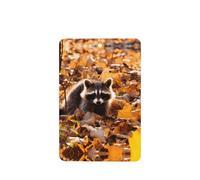 Phayah Raccoon On Falling Leaves Pattern Lavender Scent Car Air Freshener Rectangle Card Hanging Hanging Scented Card 6 Pcs For Cars Closet Drawer