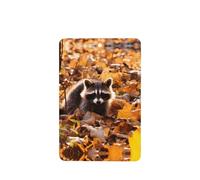 Phayah Raccoon On Falling Leaves Pattern Lavender Scent Car Air Freshener Rectangle Card Hanging Hanging Scented Card 4 Pcs For Cars Closet Drawer