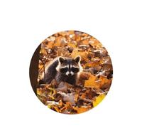 Phayah Raccoon On Falling Leaves Pattern Lavender Scent Car Air Freshener Round Shape Card Hanging Hanging Scented Card 4 Pcs For Cars Closet Drawer