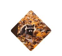Phayah Raccoon On Falling Leaves Pattern Lavender Scent Car Air Freshener Square Card Hanging Hanging Scented Card 4 Pcs For Cars Closet Drawer