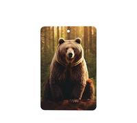 Phayah Rebuke Pattern Lavender Scent Car Aroma Rectangle Hanging Fragrance Tablet Car Interior Fragrance Freshener 6p