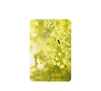 Phayah Rectangle Car Air Fresheners Cards 4 Pcs Bee Collecting Honey Pattern Auto Aromatherapy Tablets Hanging Scented Card - Lavender Scent