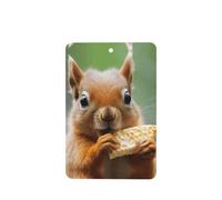 Phayah Rectangle Car Air Fresheners Cards 4 Pcs Cute Squirrel Eating Pattern Auto Aromatherapy Tablets Hanging Scented Card - Lavender Scent