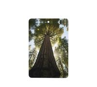 Phayah Rectangle Car Air Fresheners Cards 4 Pcs Old Tree Pattern Auto Aromatherapy Tablets Hanging Scented Card - Lavender Scent