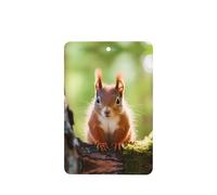 Phayah Rectangle Car Air Fresheners Cards 4 Pcs Red Squirrel Pattern Auto Aromatherapy Tablets Hanging Scented Card - Lavender Scent