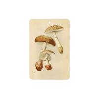 Phayah Rectangle Car Air Fresheners Cards 4 Pcs Vintage Edible Mushrooms Pattern Auto Aromatherapy Tablets Hanging Scented Card - Lavender Scent