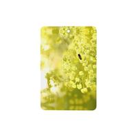 Phayah Rectangle Car Air Fresheners Cards 6 Pcs Bee Collecting Honey Pattern Auto Aromatherapy Tablets Hanging Scented Card - Lavender Scent