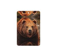 Phayah Rectangle Car Air Fresheners Cards 6 Pcs Grizzly Bear Pattern Aromatherapy Tablets Hanging Scented Card - Lavender Scent Eliminate Odor