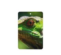 Phayah Red-Eyed Chameleon Pattern Lavender Scent Car Aroma Rectangle Hanging Fragrance Tablet Car Interior Fragrance Freshener 4p