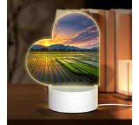PHAYAH Rice Paddy Field Sun Pattern Heart Shape Decorative Night Lights with USB Plug in Table Lamp with 3 Light Modes Adjustable for Bedroom Living Room Cafe
