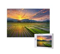 Phayah Rice Paddy Field Sun Puzzles 1000 Piece For Jigsaw Puzzle Wooden Puzzle Forfamily Friend Home Decor Wall Art 29.5 X 19.7 In