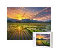Phayah Rice Paddy Field Sun Puzzles 500 Piece For Jigsaw Puzzle Wooden Puzzle For Family Friend Home Decor Wall Art 20.4 X 15 In