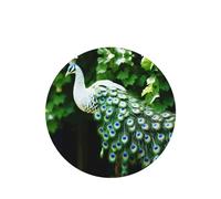 Phayah Round Shape Car Air Fresheners Cards 4 Pcs Beautiful Peacock Pattern Auto Aromatherapy Tablets Hanging Scented Card - Lavender Scent