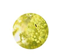 Phayah Round Shape Car Air Fresheners Cards 6 Pcs Bee Collecting Honey Pattern Auto Aromatherapy Tablets Hanging Scented Card - Lavender Scent