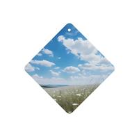 Phayah Savannah Pattern Lavender Scent Car Aroma Square Hanging Fragrance Tablet Car Interior Fragrance Freshener 4p