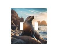 Phayah Sea Lion On The Rocks Pattern Double Toggle Light Switch Plates Outlet Covers Decorative for Bathroom Bedroom Kitchen 4.5 X 4.5 Inch