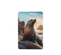 Phayah Sea Lion On The Rocks Pattern Lavender Scent Car Aroma Rectangle Hanging Fragrance Tablet Car Interior Fragrance Freshener 4p
