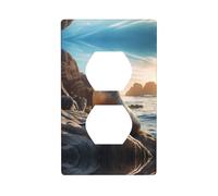 Phayah Sea Lion On The Rocks Pattern Outlet Covers Wall Plate Receptacle Duplex Light Switch Cover Plate Single Dual Plug Electrical Switchplate