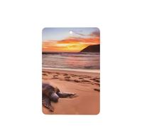 Phayah Sea Turtle Sunset Pattern Lavender Scent Car Air Freshener Rectangle Card Hanging Hanging Scented Card 6 Pcs For Cars Closet Shoe
